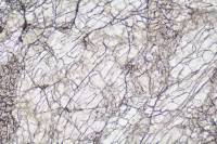 Péridotite LPNA x10